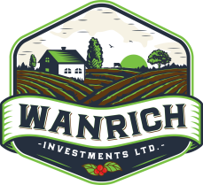 WanRich-Logo.pdf.png